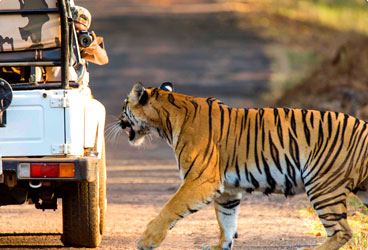 STEPiNN-KANHA NATIONAL PARK